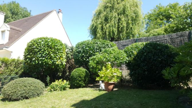 Entretien jardin Persan