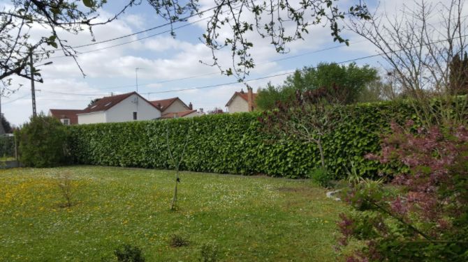 Entretien jardin Beaumont-sur-Oise